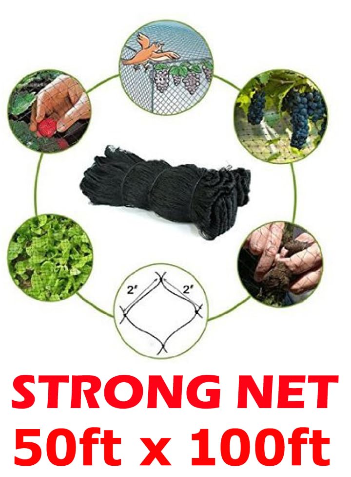 Strong All Season 50ft X 100ft Net Long Lasting Netting for Bird Poultry Aviary Game Pens New 2" Square Mesh Size - size: 50ft x 100ft