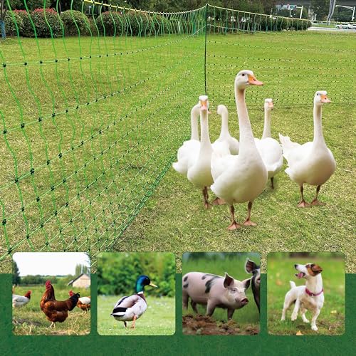 1 Pack Premium Portable Pre-Assembled Poultry Netting Electric Fence 47.3" x 98.5', Green,Utility Portable Mesh for Chickens, Ducks,Geese,Rabbits,Used in Backyards,Farms,and Ranches