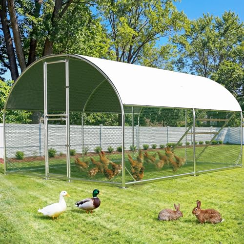 Large Metal Chicken Coop 13x10x6.6FT, Chicken Run for Yard with Feeding Door, Round Top Walk-in Chicken Pen,Outdoor Poultry Cage with Anti-UV Cover - color: Oval Shape, size: 13x10 FT(w roosting ladder)