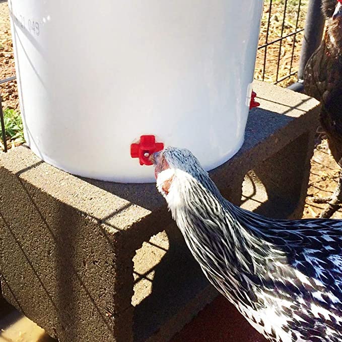 20 Pack Chicken Waterer Nipples - Easy Install Leakproof Poultry Watering System for Chicken Coop, Quail Duck Water Feeder Nipples with Drill Bits