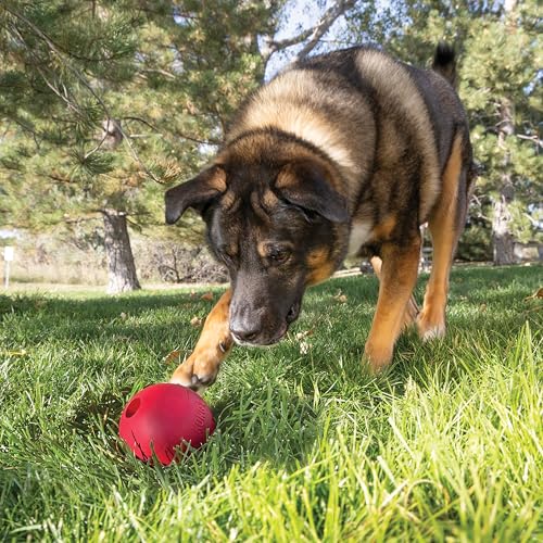 KONG Ball with Hole - Durable Dog Fetch Toy for Training, Interactive Playtime & More - Classic Natural Rubber Ball - Red - for Large/X-Large Dogs - size: Large