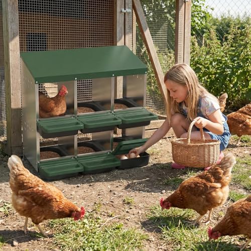 Heavy Duty Galvanized Steel Chicken Nesting Box – 6 Holes, Roll Away Egg Laying, Protective Lid, Wall Mounted or Freestanding, Easy Clean, Vented Pegboard Sides, Soft Mats, Green (Pegboard - color: Green, size: 6 Room&Mat Board
