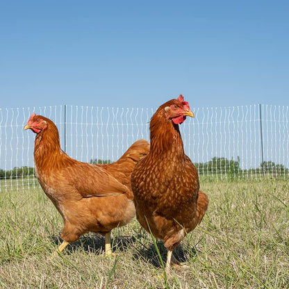 Premier 1 PoultryNet® 48"H x 100'L Portable Electric Double Spike Fence | Rigid PrimaPosts™ for Extra Strength | Blue/White Fence for Chickens, Ducks, Geese - color: Double Spike, Blue/White