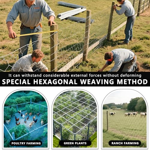 Chicken Wire, 15.7 in x 50 ft Garden Fence, Wire Mesh, Chicken Wires Fencing, Mesh Hexagonal Galvanized Metal Poultry Netting for Chicken Coop Rabbit Dogs Barrier (15.7 in x 50 ft) - size: 15.7 in x 50 ft
