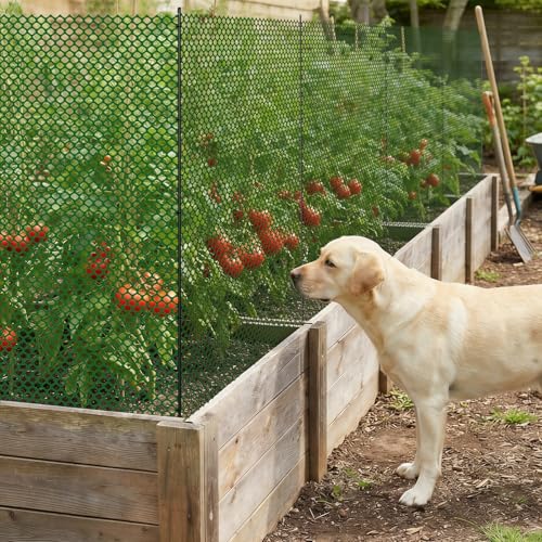SUNYRISY Garden Mesh Fence Temporary Fencing Outdoor Dog Fence, 40in x 82ft Chicken Fencing Plastic Netting Animal Barrier for Backyard Dog Poultry Pet Protection, Green Diamond - color: Green Diamond