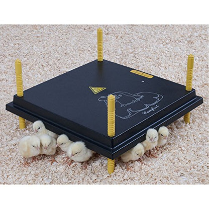 Premier 1 Chick Heating Plate Kit with Adjustable Legs | Includes Anti-Perch Cover | 16"x16" Plate Warms Up to 30 Chicks
