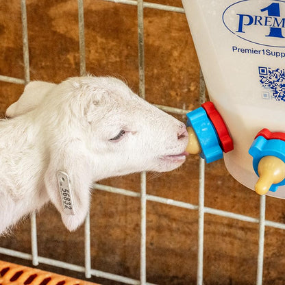 Premier 1 Lamb 'N' Goat Kid Prima Orphan Feeding Bucket (2.5 Gallon Square - 2 Holes) - size: 2.5 Gallon Square - 2 Holes