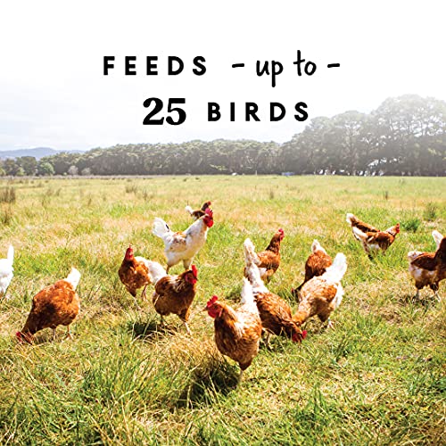 Harris Farms Plastic Hanging Poultry Feeder, Twist and Lock Base, For Medium to Large Flocks, Feeds up to 25 Birds, 10 lbs