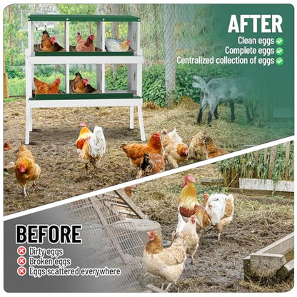 Chicken Nesting Box,6 Holes Galvanized Steel Metal Chicken Laying Box with Automatic Roll-Away Egg Collection System & Removable Tray,Wall Mount Nesting Boxes - color: Green, size: 6 Holes with Legs