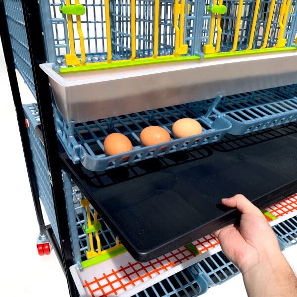 Full Layer Droppings Tray – Fits Hatching Time (Full Layer) Chick Brooders, Grow Out Pens, and Breeding Cages, Easy to Clean, Lightweight,PP Plastic (Polypropylene), Cimuka, Durable, 3lb