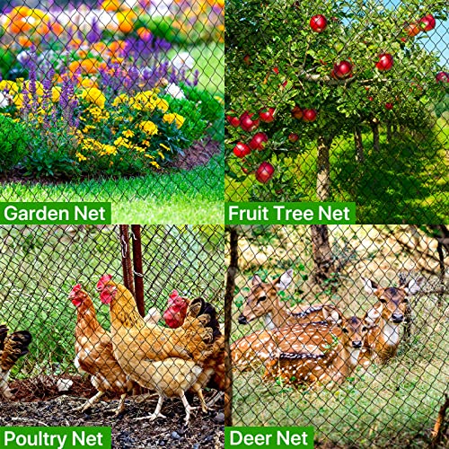 Bird Netting for Chicken Coop - 50x50ft Poultry Netting Over Chicken Run & Chicken Pen, Heavy Duty 2.4” Mesh Garden Net for Blueberry Bushes, Fruit Trees and Vegetable Against Birds, Deer, Squirrels - size: 50'×50'-2.4''