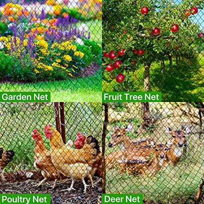 Bird Netting for Chicken Coop - 50x50ft Poultry Netting Over Chicken Run & Chicken Pen, Heavy Duty 2.4” Mesh Garden Net for Blueberry Bushes, Fruit Trees and Vegetable Against Birds, Deer, Squirrels - size: 50'×50'-2.4''