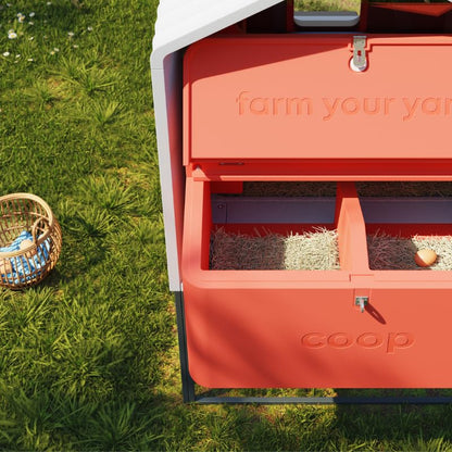 Smart Coop with Base – Weatherproof, Predator-Proof Chicken Coop with Dual Smart Cameras, Automatic Door, Solar Optional for 4-6 Chickens - size: 31.0"L x 30.0"W x 40.0"H