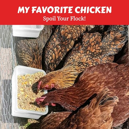 My Favorite Chicken Cage Cup 27oz – Hanging Chicken Feeder & Hanging Chicken Waterer for Chick, Quail, Duck, Parakeet – Small Poultry Waterer & Feed Dish – Cage & Coop Accessories - color: White
