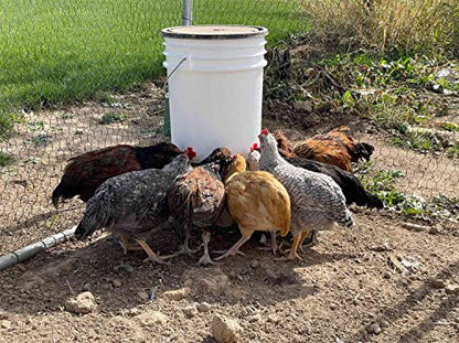 Noble Nest 5 gal. Incubator with 5 Nipple Side Waterer and Black Stand - color: Add Black Waterer Stand, size: 5 Nipple, Side Waterer