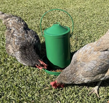 Zylina Powder Coated Green Metal Chicken Waterer 1 Gallon/Feeder 9 lbs/Scoop Combo Pack