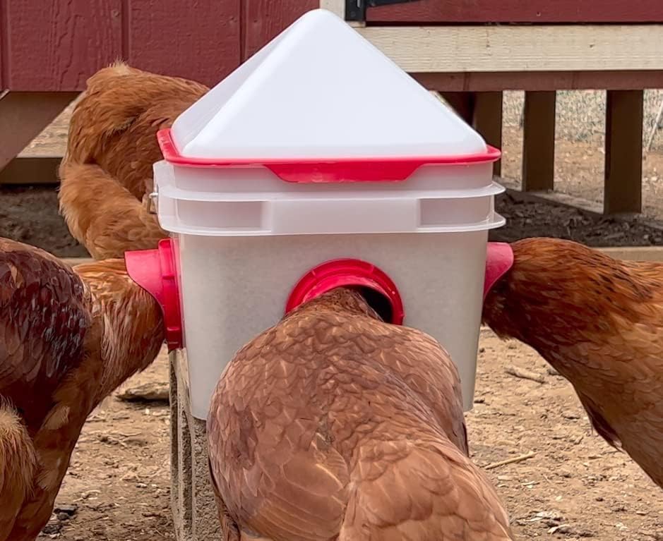 RentACoop 10lb Chick2Chicken BPA-Free 4-Port Chicken Feeder