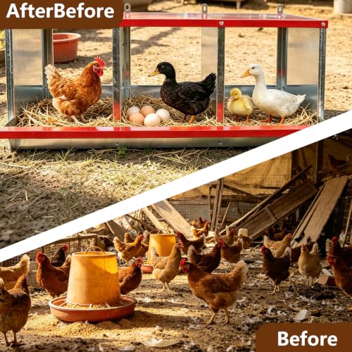 Chicken Nesting Boxes - 3-Compartment Metal Wall-Mounted Poultry Nest Box for Chickens, Hens, and Ducks - Easy Egg Collection - Large Vented Holes - Chicken Coop Equipment (4 Compartments) - size: 4 Compartments