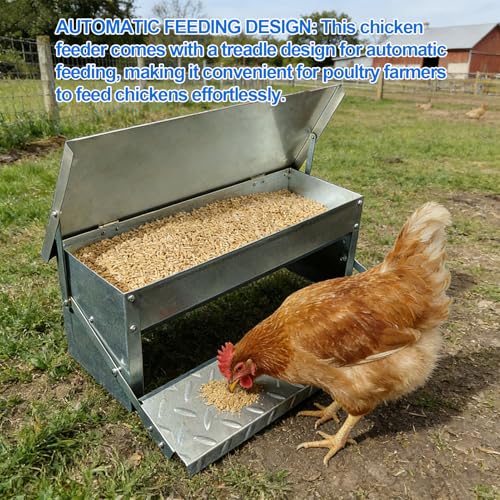 Diydeg Treadle Chicken Feeder, No Waste Large Capacity Stainless Steel Automatic Poultry Feeder Rat Proof Treadle for Chicken Duck Poultry Pheasants