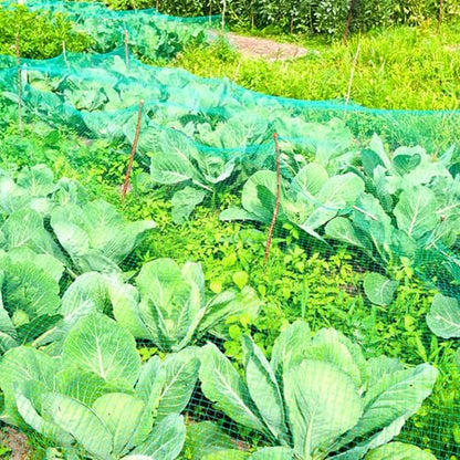 13Ft x 33Ft Anti Bird Netting Protection Mesh Garden Netting Seedlings Plants Flowers Fruit Trees Vegetables from Rodents Deer Reusable Fencing, Green - color: Green