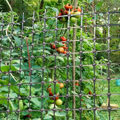 Heavy Duty Plastic Fence Roll 39" x 50' - 0.8x0.8 Inch Chicken Wire Mesh, Reusable Fencing for Garden, Rabbit/Poultry Protection, Balcony & Plant Defense (Black) - size: 39" x 50'