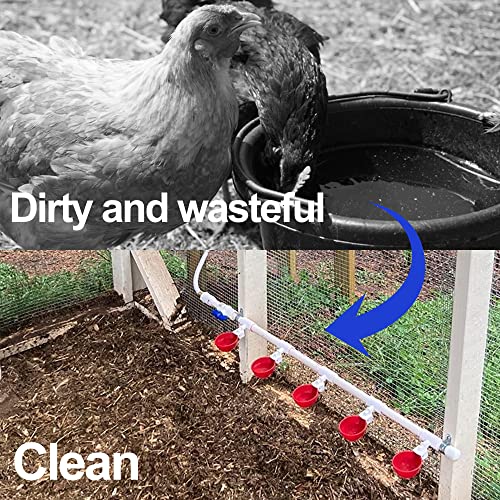Chicken Waterer 4 Pack,Automatic Chicken Water Cup and 1/2" PVC Tee Fittings,Large Auto-Fill Chicken Waterer Cups,DIY Chicken Water Feeder, Coop Water Dispenser,Poultry Waterer Feeder Kit