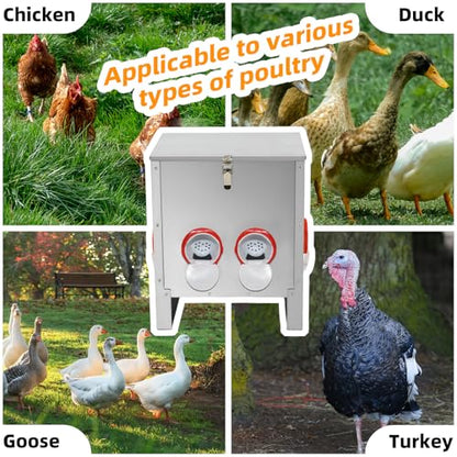 Automatic Poultry Chicken Feeder No Waste Metal Large Capacity 30 lbs Feeders for Chickens Ducks, Geese Bantams Pheasants Coop Weatherproof (4-Port) - size: 4-Port