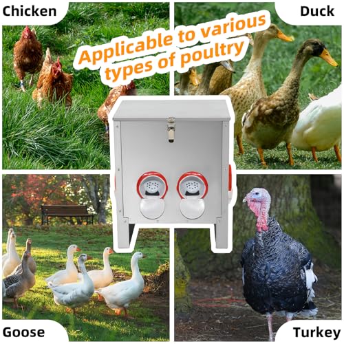 Automatic Poultry Chicken Feeder No Waste Metal Large Capacity 30 lbs Feeders for Chickens Ducks, Geese Bantams Pheasants Coop Weatherproof (4-Port) - size: 4-Port