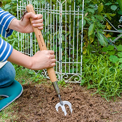 Berry&Bird Gardening Hand Fork, 22.6 Inches Long Handled Stainless Steel Weed Fork, Traditional Garden Hand Fork Tool with Ergonomic Ash Wood Handle for Weeding, Digging, Planting and Cultivating - size: Hand Fork