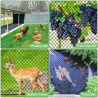 Bird Netting - 25'x100' Heavy Duty Nylon Net with 2' Mesh for Garden Protection, Chicken Coop, Fruit Tree, Orchard - size: 2", 25' x 100'