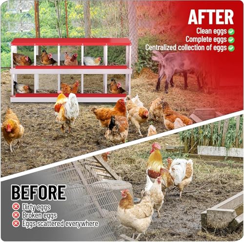 IDEALHOUSE Chicken Nesting Box, Galvanized Steel Laying Box with Rustproof & Roll-Away Egg Design, for Hens, Red 10 Compartment No Bracket - color: Red, size: 10 compartments (without bracket)