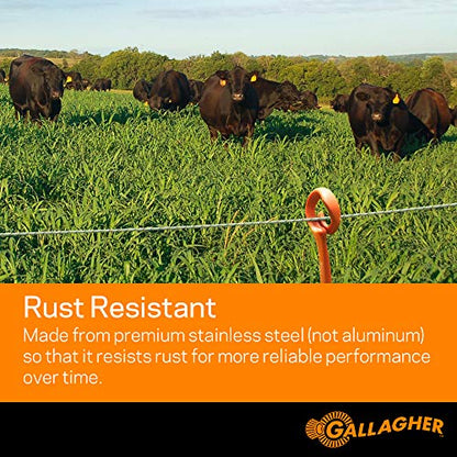 Gallagher Electric Fence Wire — 1,640ft (500m) Polywire for Livestock, Horses & Cattle | 6 Stainless Steel Strands | Poly Wire UV & Rust Resistant | 1/16" Diameter