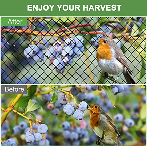 Bird Netting - 25'x100' Heavy Duty Nylon Net with 2' Mesh for Garden Protection, Chicken Coop, Fruit Tree, Orchard - size: 2", 25' x 100'