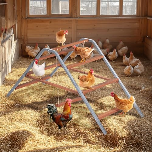 PETSFIT Chicken Roosting Bar-Solid Wood and Rustproof Iron Design, Chicken Perch with Swing for Healthy Poultry-Ideal for Backyard Coops, Farms, Easy to Assemble and Clean - size: 62"Lx24"Wx28"H