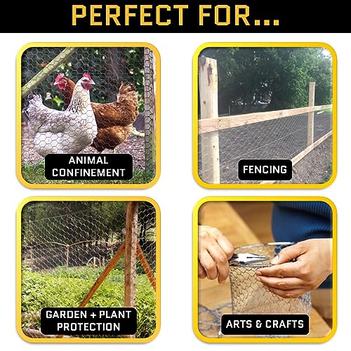 Acorn Chicken Wire 1" X 48" X 25', Perfect for Garden Fencing, Animal Barrier, Plant Supports and DIY Projects, Galvanized Steel - size: 4' Wide X 25' Long, style: 1" Hexagon Pattern