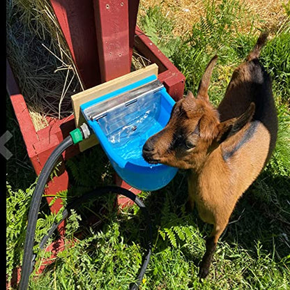Automatic Water Bowl Plastic Livestock Waterer for Horse Cattle Goat Sheep Dog,Farm Grade Sheep Water Trough Bowl (with Drainage Hole & 39.37 inch Pipe)… (Without 39.37 inch Pipe)