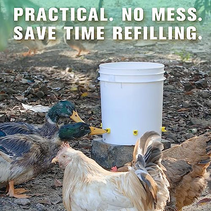 Chicken Waterer Nipples, Horizontal Side Mount, Anti-Leak Automatic Water System for Poultry, Suitable for Chickens, Duck, Quail, Pack of 12, Includes Drill Bit & Installation Tool