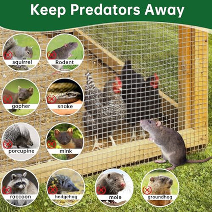 AMAGABELI GARDEN & HOME Hardware Cloth 1/2 Inch 48 x 100 ft 19 Gauge Chicken Wire Fence Weld Wire Fence Mesh Roll Garden Fencing Border Plant Support Poultry Netting Snake Fence Gopher Wire - size: 1/2" 48"x100' Vinyl Coated