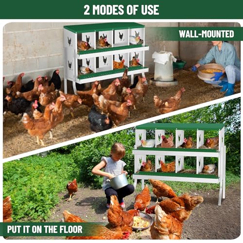 Chicken Nesting Box,8 Holes Galvanized Steel Metal Chicken Laying Box with Automatic Roll-Away Egg Collection System & Removable Tray,Wall Mount Nesting Boxes - color: Green, size: 8 Holes with Legs