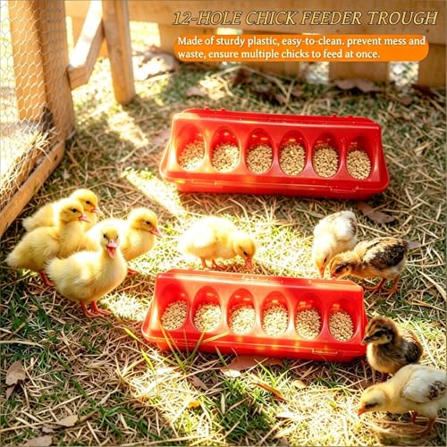 Chick Starter Kit with 75w Heat Lamp, 5-in-1 Baby Chicken Brooder Supplies, Feeder & Waterer Set, Perch with Mirror for Coop Brooder Poultry Duck Quail Bird