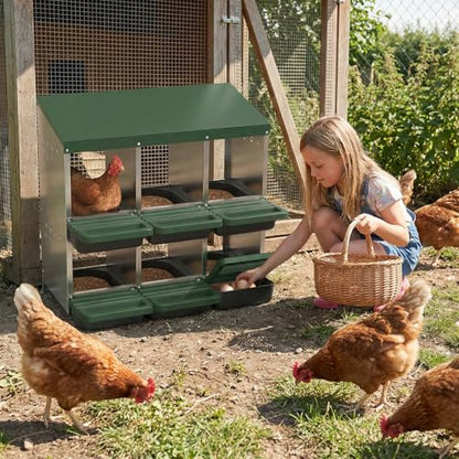 Garvee 6-Hole Chicken Nesting Box with Removable Lid, Metal Chicken Coop with Roll Away Design/Easy Egg Collection/Ventilation Holes, for Chicken Coops, Duck Coops and Hens (Green) - color: GREEN, size: 31.9"L x 20.5"W x 31.1"H