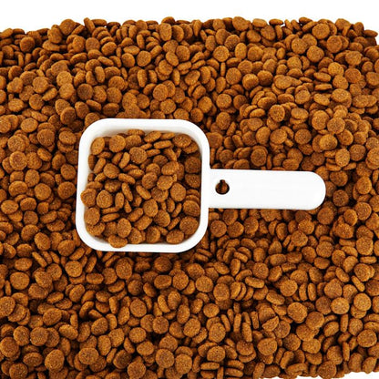 EveryYay by Petco Serve & Preserve Food Storage 50 lbs. - size: Large