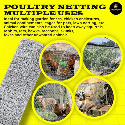 Chicken Wire 36 in x 100 FT x 2” Mesh x 20GA | Poultry Wire Netting | Hot Dipped Galvanised | Hexagonal Galvanized Mesh for Chicken Coop, Rabbit Cage, Fence Barrier PM36x100x2 - style: 36 in x 100 FT x 2 in