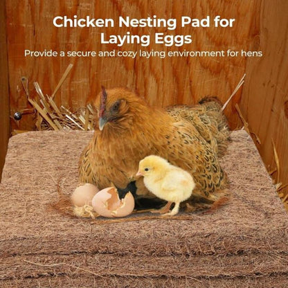 6 Pack Chicken Nesting Pads for Chicken Coop Accessories – 12"x12" Reusable Washable Bedding Mats, Organic Bird Nest Liner for Hens, Rabbits & Nesting Boxes