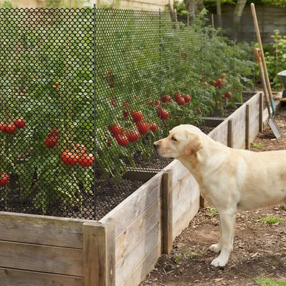 SUNYRISY Garden Mesh Fence Temporary Fencing Outdoor Dog Fence with Steel Stakes, 40in x 98.4ft Chicken Fencing Plastic Netting Animal Barrier for Backyard Poultry Pet, Black Diamond - color: Black Diamond