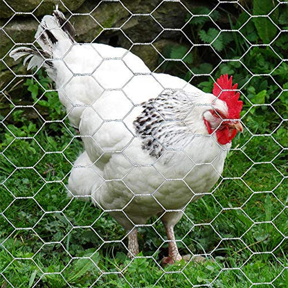 20GA Galvanized Hexagonal Poultry Netting Chicken Wire 24 inches x 25 feet x 1 inch Mesh - size: 24"x25'