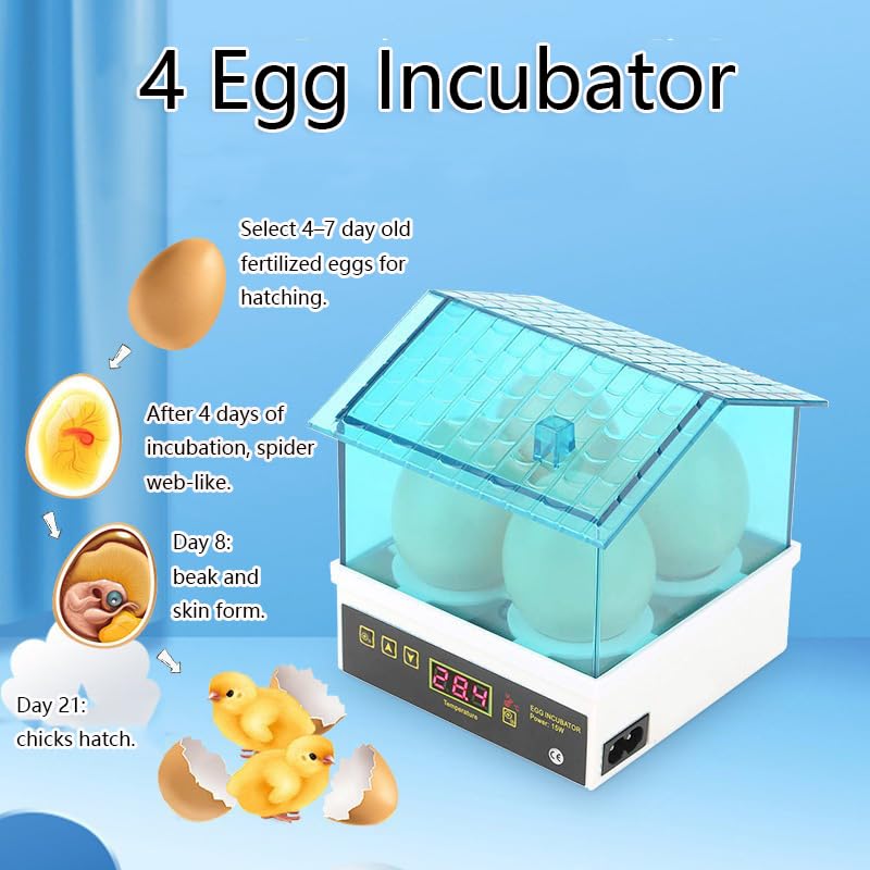 4 Egg Incubator, Incubators for Hatching Eggs, Mini House with Automatic Humidity Control Digital Professional for Hatching Duck Bird Quail Eggs