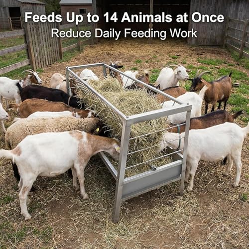 Stainless Steel Feeder with Galvanized Trough Hay Rack, 77 Gallon Capacity 60-Inch Length 2 in 1 Hay Feeder for Goats, Sheep and Ponies, Deeper Tray, 33.4-Inch Height for Farms, Sheep Sheds, Pastures