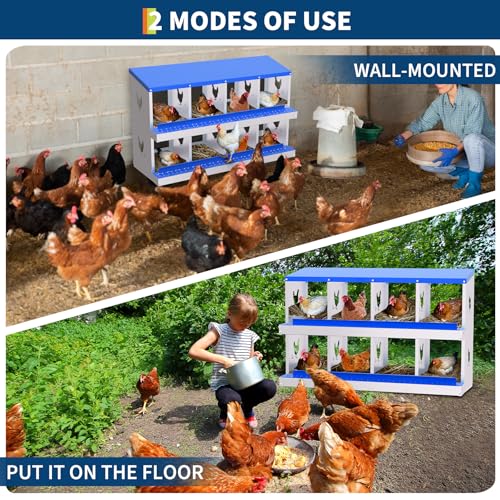 Chicken Nesting Box,8 Holes Galvanized Steel Metal Chicken Laying Box with Automatic Roll-Away Egg Collection System & Removable Tray,Wall Mount Nesting Boxes - color: Blue, size: 8 Holes