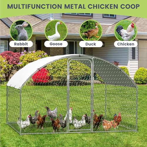 Large Metal Chicken Coop, Large Chicken Coop for Yard, Walk-in Poultry Cage with Waterproof and Anti-Uv Cover, Chicken Run for Outdoor Backyard Farm, Doom Roof, 9.8×6.5×6.5ft,Silver - size: 9.8 x 6.5 x 6.5 ft